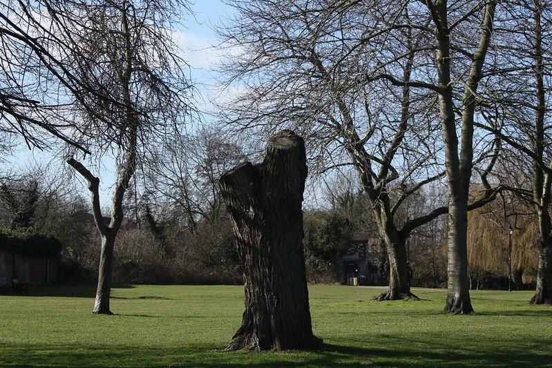 Robert Woods Cut by Tennessee Titans