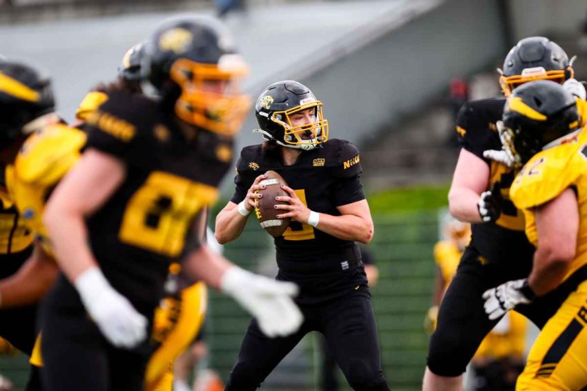 France Elite: The Leopards and Dolphins Secure the Playoffs!