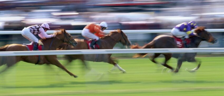 Aperçu des paris sur la King's Plate : My Boy Prince est plus que méritant en tant que favori